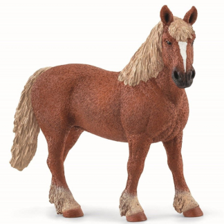 Schleich Horse Club 13941 - Belgisk avlshoppe