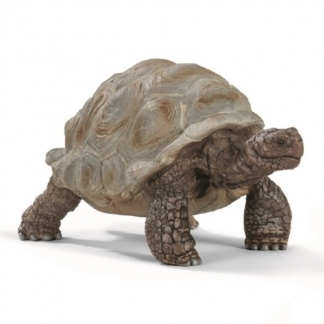 Schleich Wild Life 14824 - Kmpeskildpadde